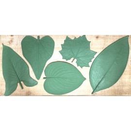 Large Leaf Assortment Set #2 (Set of 5) Large Leaf Assortment Set #2 (Set of 5)